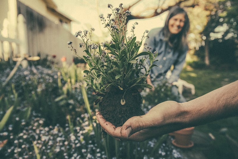 Guide to Cultivating a Positive Mindset