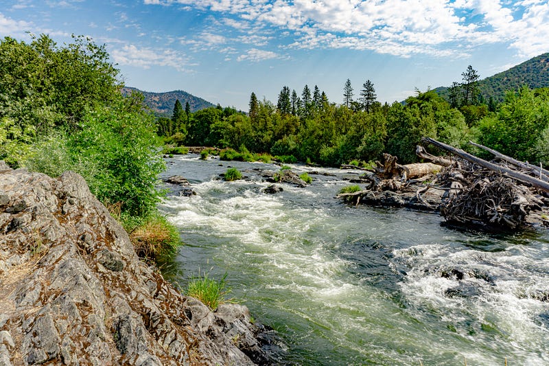 Scenic view from a running trail