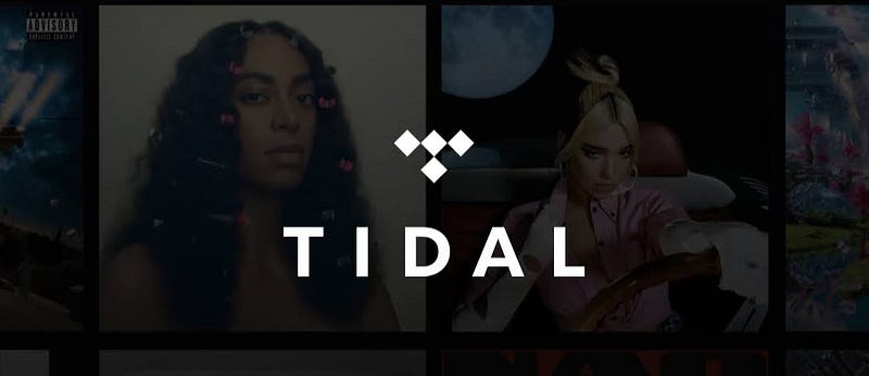 Tidal app interface overview