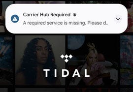 Error message during Tidal signup