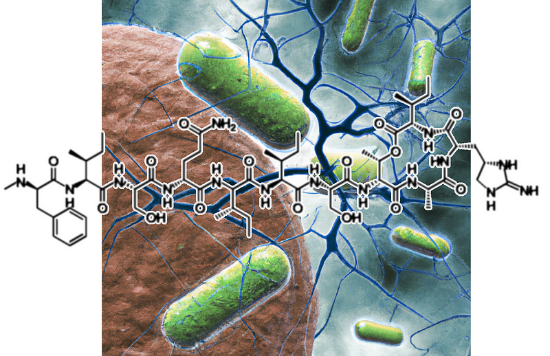 Visual representation of antibiotic resistance mechanisms