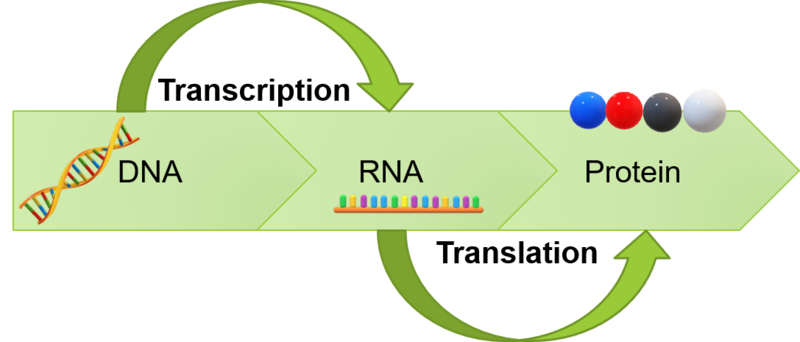 Illustration of DNA mutations