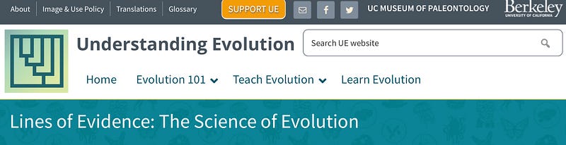 Exploring the evidence of evolution