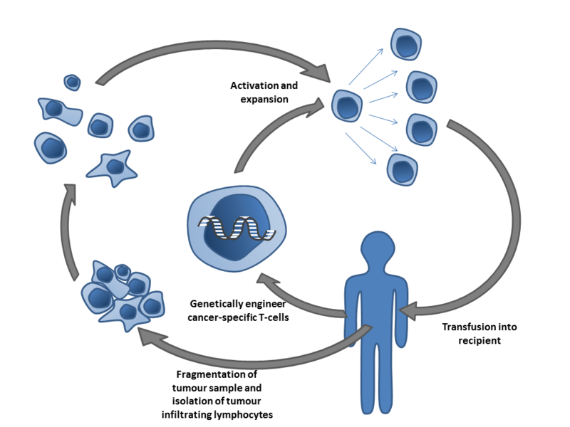 Diagram showing different cancer treatment approaches