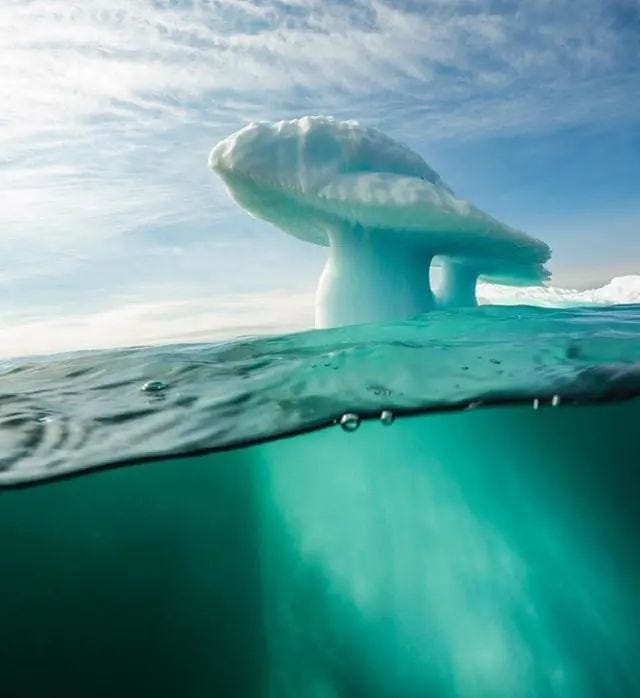 A mushroom-shaped iceberg floating in the sea