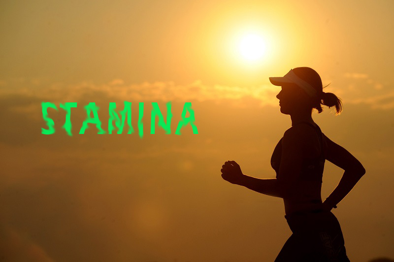 Understanding stamina in cardio workouts