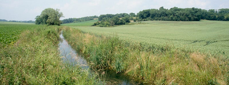 A green oasis representing the potential of restoration