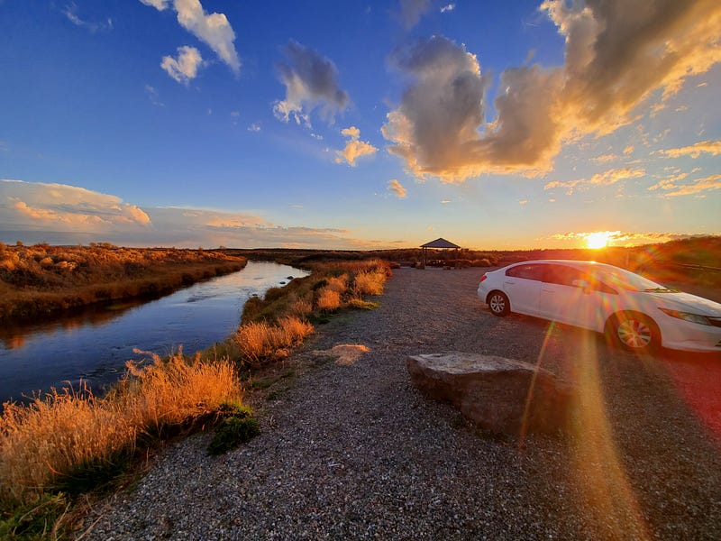 A serene view of a Honda Civic parked amidst nature