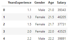 A preview of the salary dataset