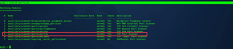 TCP Port Scanner Options