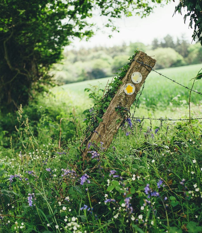 Author tending to weeds in a natural way