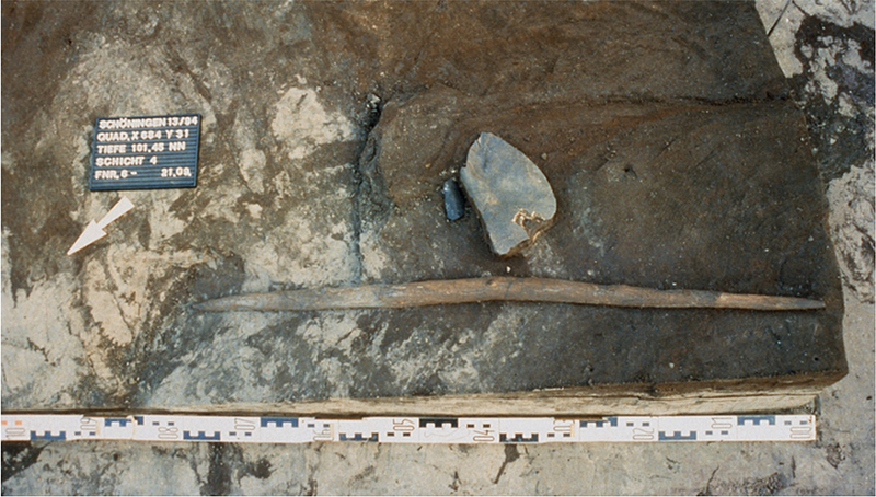 Ancient wooden weapon from Schöningen excavation