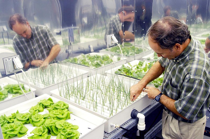 Hydroponic farming system.