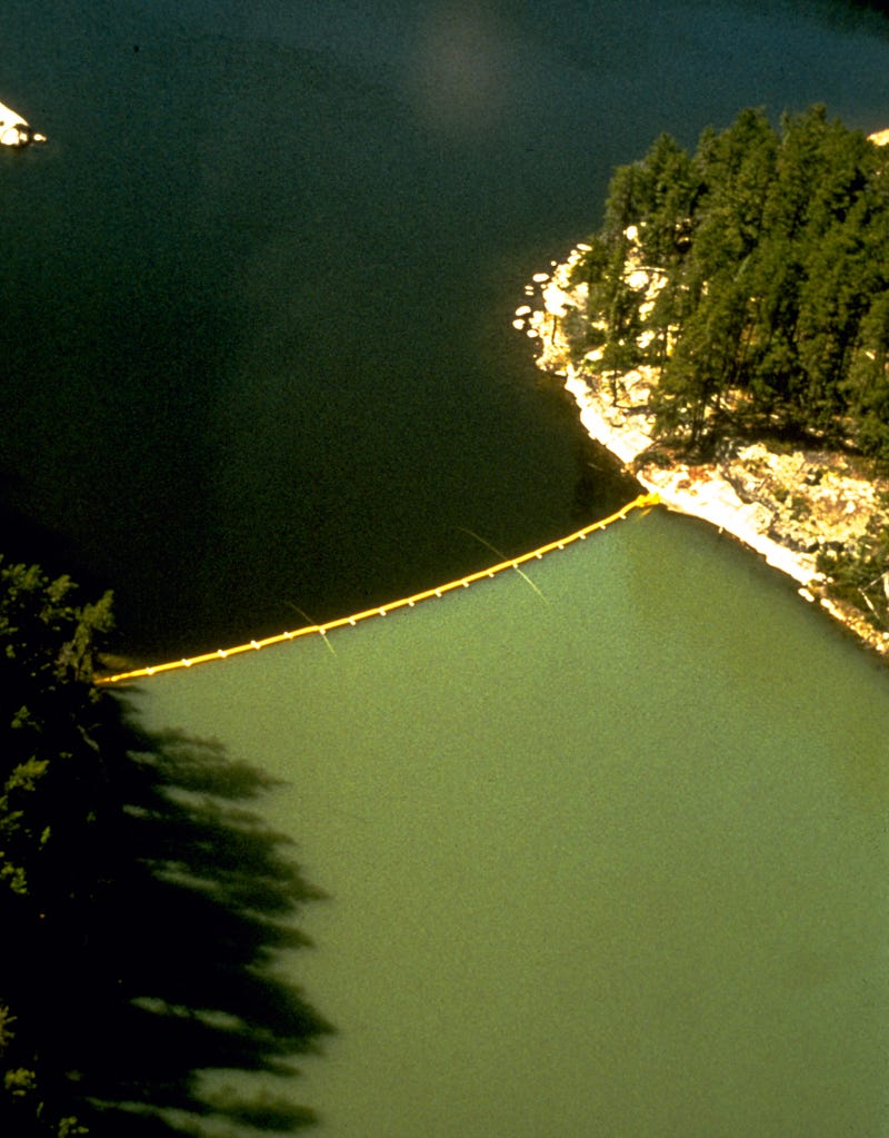 Lake with algal bloom