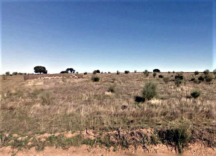 Landscape surrounding Congress, Arizona