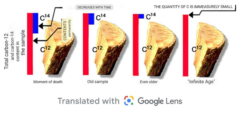 Change in carbon-14 levels in wood over time