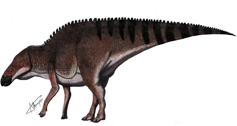 Artistic representation of Edmontosaurus annectens