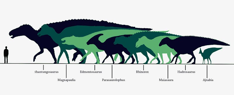 Representation of various Hadrosaur species