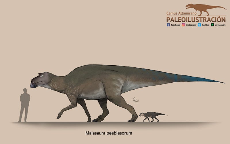 Artistic rendering of Maiasaura peeblesorum