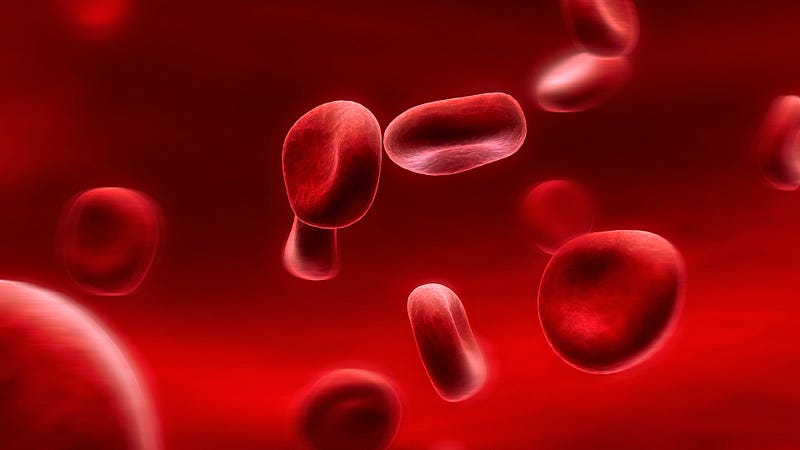 Synthetic red blood cells illustration