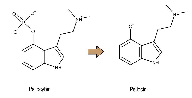 Chemical structure comparison of psilocybin and psilocin.