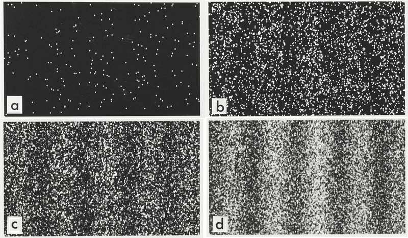 Observation Effect on Particle Behavior