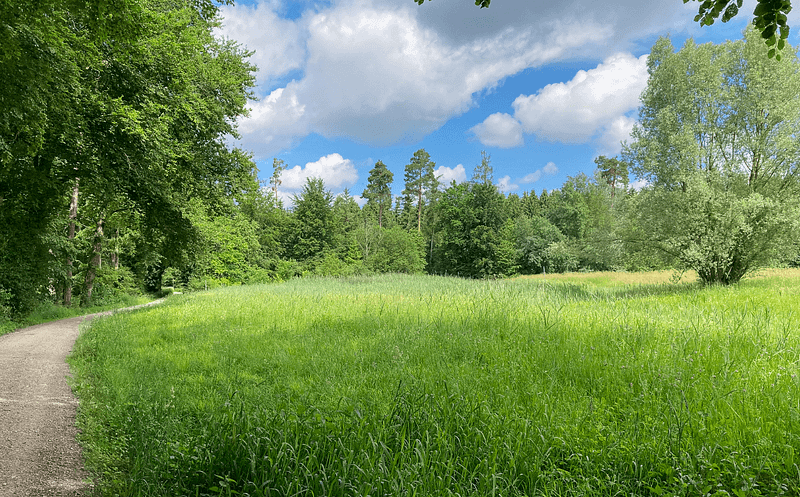 Scenic running route through fields and forests